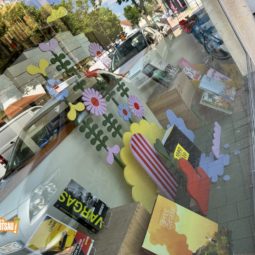 Une vitrine artistique à la librairie la Parenthèse dans le cadre du Rallye du livre